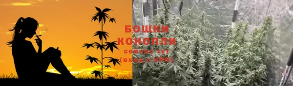 метадон Козельск