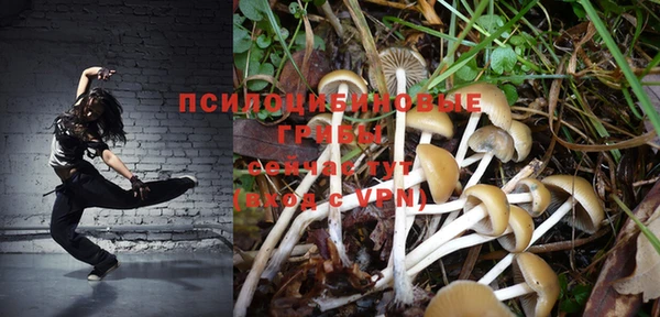 эйфоретик Коряжма