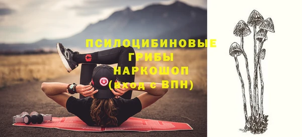 спиды Корсаков