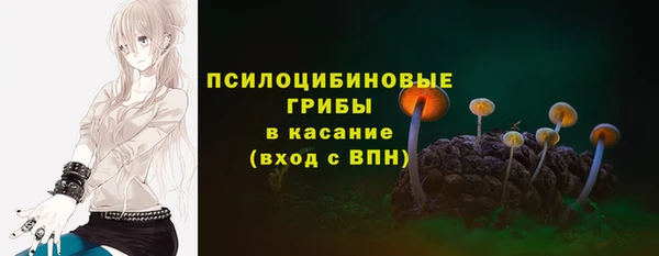 ECSTASY Елабуга