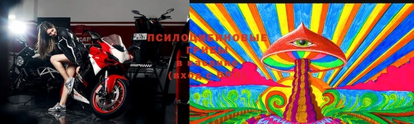 хмурый Козловка