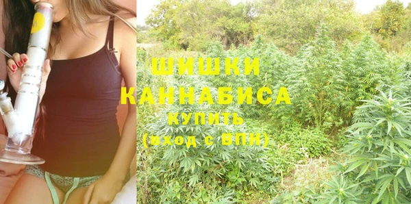 хмурый Козловка