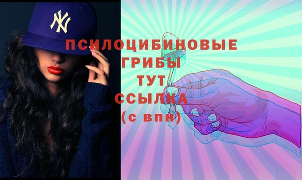 метадон Козельск