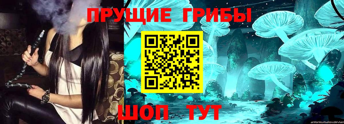 Находка  Псилоцибиновые грибы прущие грибы  Вход с VPN 