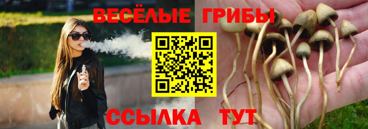 Галлюциногенные грибы мухоморы Находка